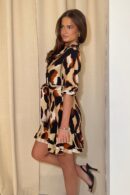 Ashton Brown Animal Frill Skirt Mini Dress